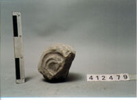 capitello/ frammento