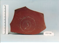 coppa/ forma parzialmente ricostruibile