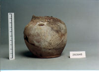 vaso