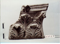 CAPITELLO CORINZIO DI LESENA