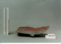 coppa/ forma parzialmente ricostruibile