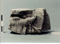 lastra di rivestimento