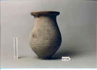 OLLA
