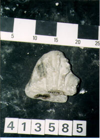 ELEMENTO ARCHITETTONICO