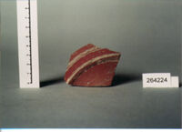 coppa carenata/ parete