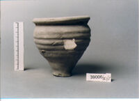 olla perforata