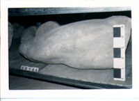 statua maschile/ gamba