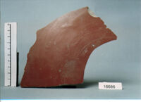 piatto/ fondo
