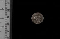 Denario di M. Volteius M.f