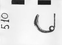 fibula ad arco ingrossato