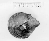 lamina antropomorfa