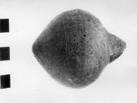 trottola