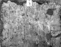intonaco dipinto