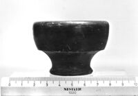 ciotolina
