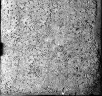 rivestimento parietale