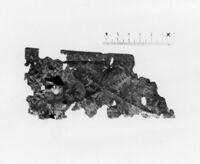 lamina antropomorfa