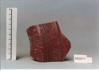 coppa/ forma parzialmente ricostruibile