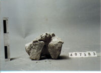 ELEMENTO ARCHITETTONICO