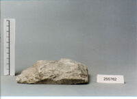 LASTRA DI RIVESTIMENTO