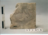 LASTRA DI RIVESTIMENTO