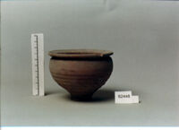 vaso