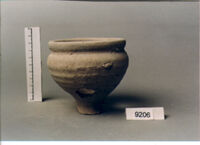 olla perforata