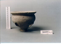 olla perforata