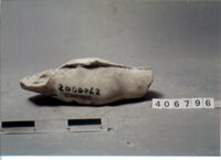 statua maschile/ gamba