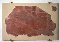 Intonaco della caserma della VII coorte dei vigili