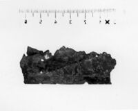 lamina antropomorfa