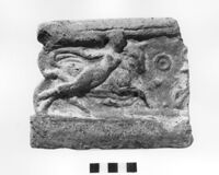 arula