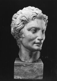 testa ritratto