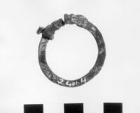 anello a capi aperti e accostati