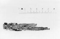 lamina antropomorfa