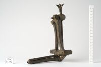 Speculum vaginale
