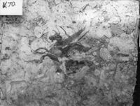 rivestimento parietale