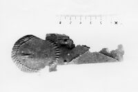 lamina antropomorfa