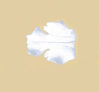 Elemento decorativo a foglia d'acanto