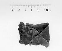 lamina antropomorfa