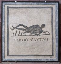 Mosaico pavimentale con scheletro