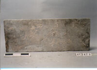 LASTRA DI RIVESTIMENTO