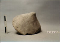 urna a vaso/ coperchio