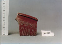 coppa/ forma parzialmente ricostruibile