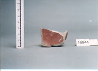 coppetta/ fondo