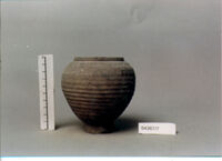 vaso