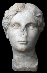 Testa di giovane donna