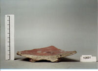 coppa/ forma parzialmente ricostruibile