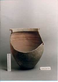 OLLA