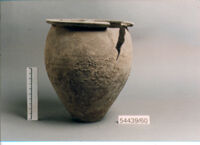 OLLA
