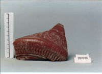 coppa/ forma parzialmente ricostruibile